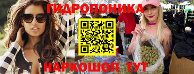 крисы Беслан