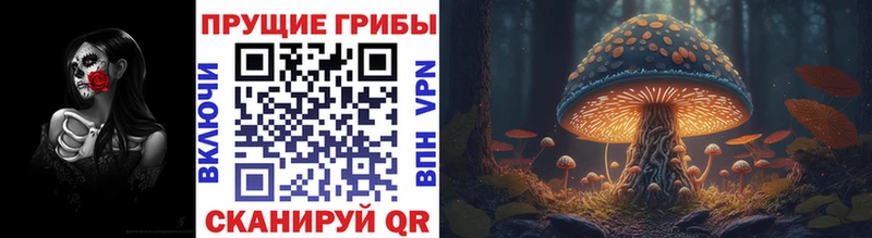 Галлюциногенные грибы мицелий  цена   Белорецк 