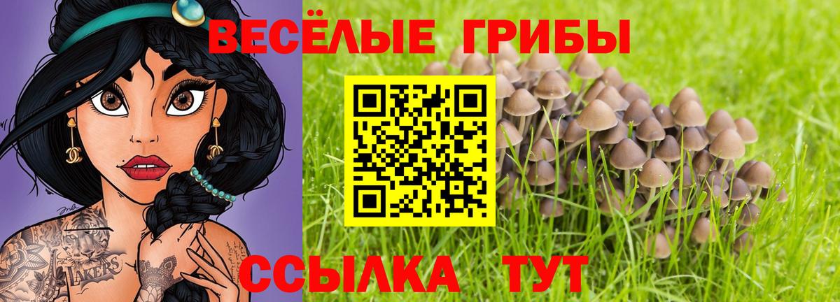 Псилоцибиновые грибы ЛСД  Галлюциногенные грибы Psilocybe  Белорецк 