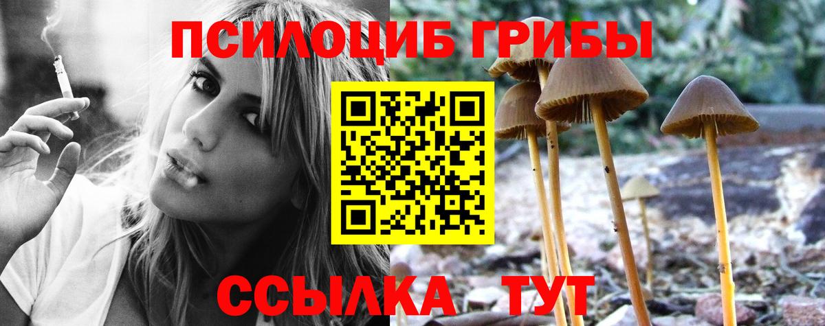 Псилоцибиновые грибы прущие грибы  Вход с VPN  Галлюциногенные грибы ЛСД  что такое наркотик  Белорецк 